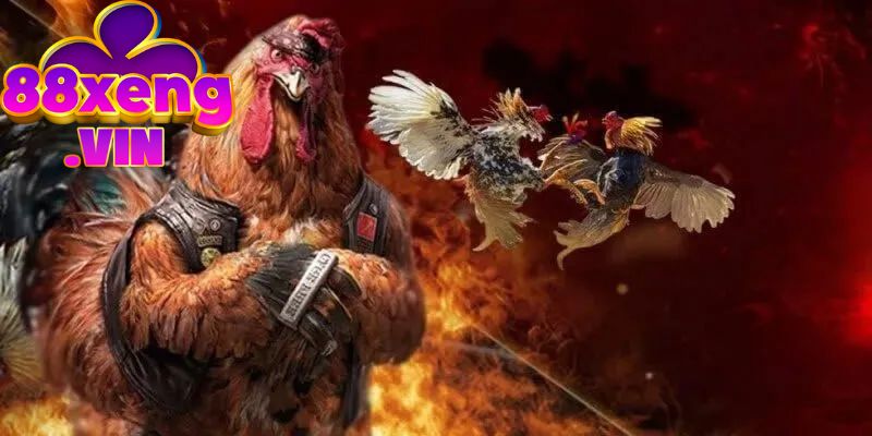 Review các sảnh cược đá gà trực tuyến đáng tin cậy